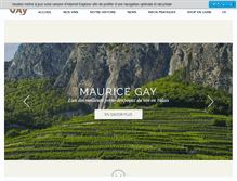 Tablet Screenshot of mauricegay.ch
